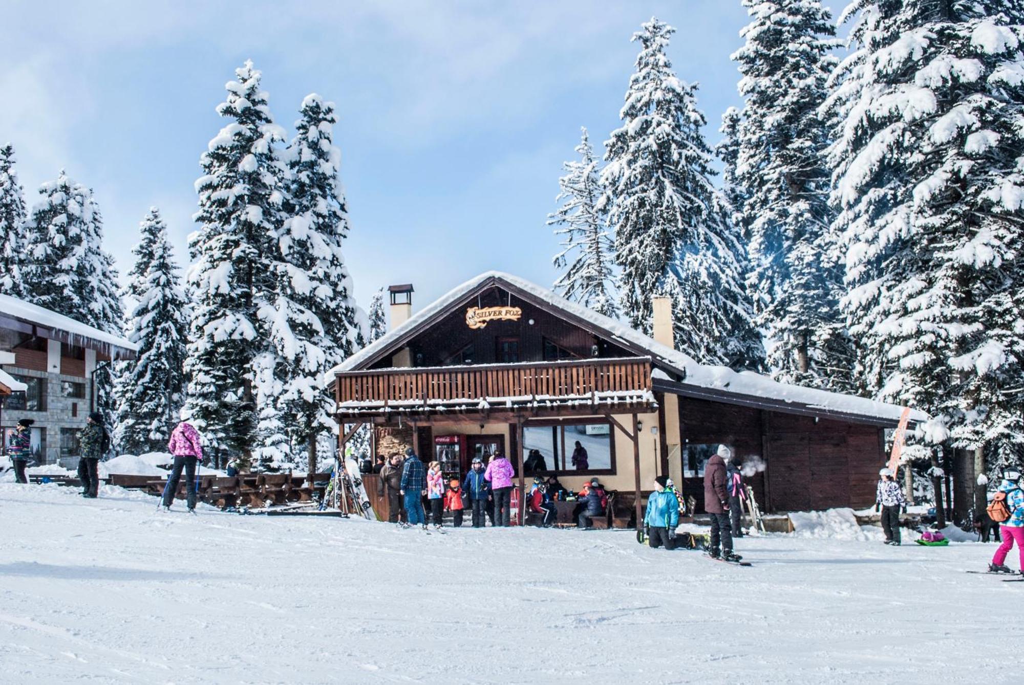 Alpine Ski Chalet Borovets With Sauna Villa Luaran gambar