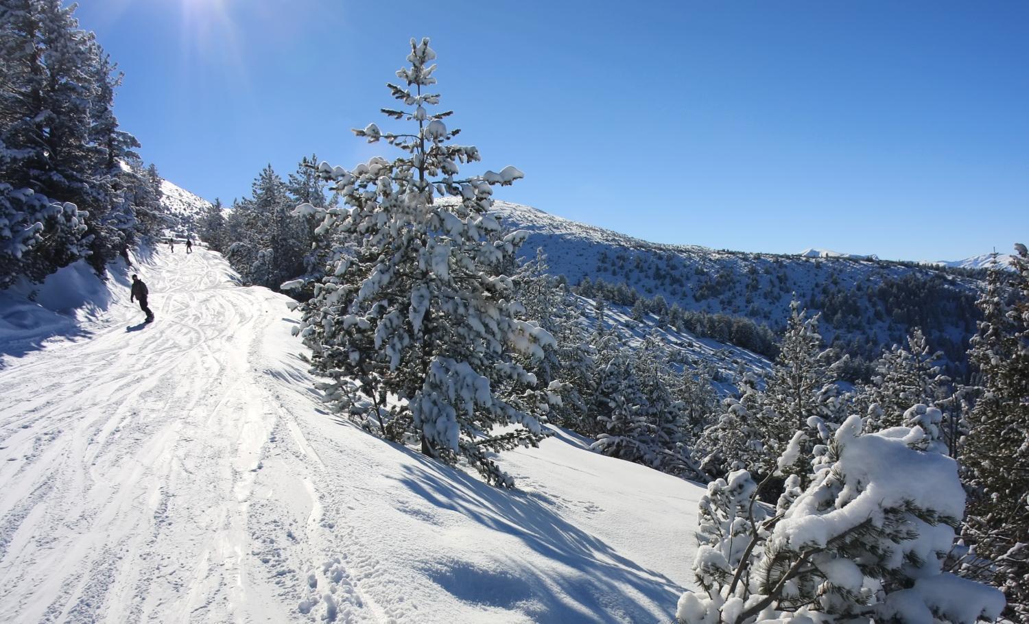Alpine Ski Chalet Borovets With Sauna Luaran gambar