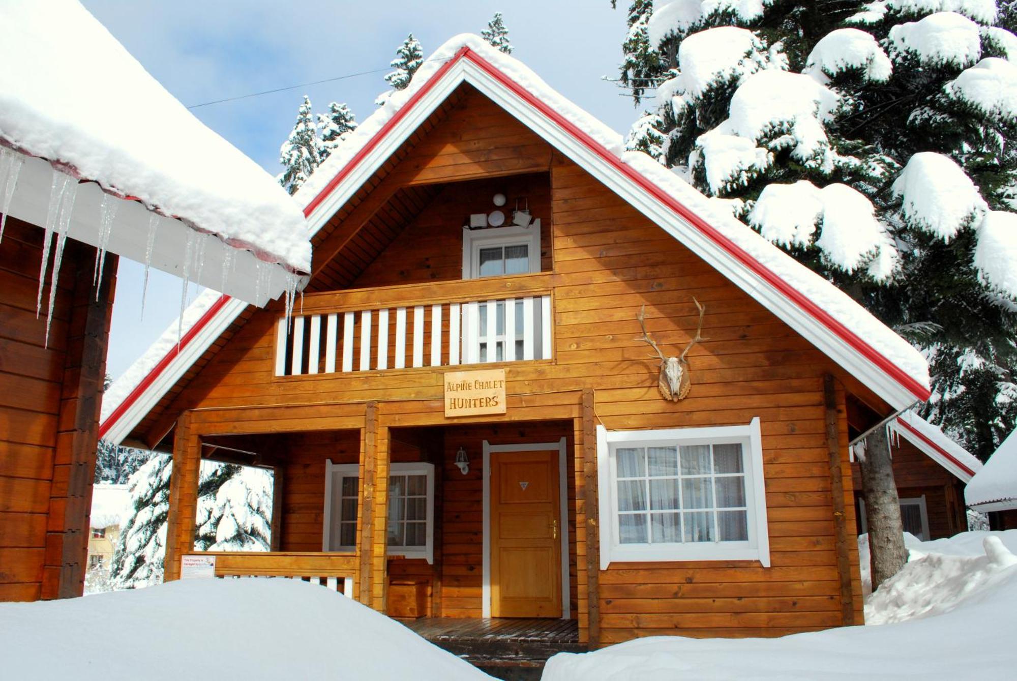 Alpine Ski Chalet Borovets With Sauna Villa Luaran gambar