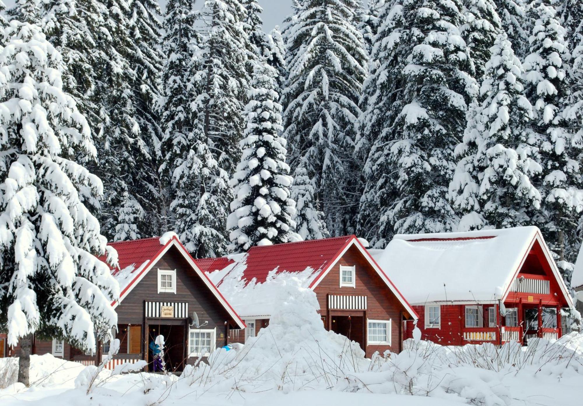 Alpine Ski Chalet Borovets With Sauna Villa Luaran gambar