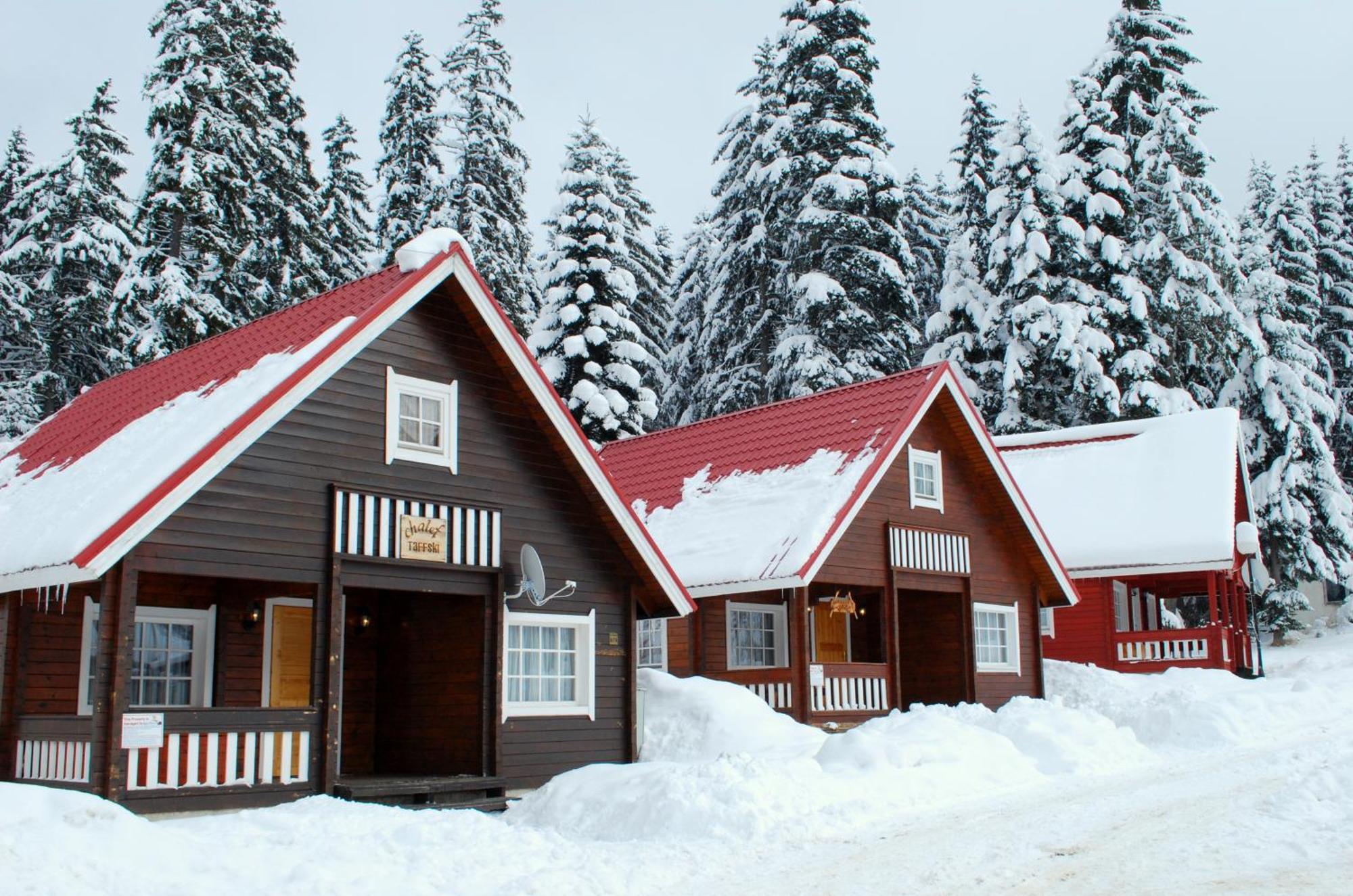 Alpine Ski Chalet Borovets With Sauna Villa Luaran gambar