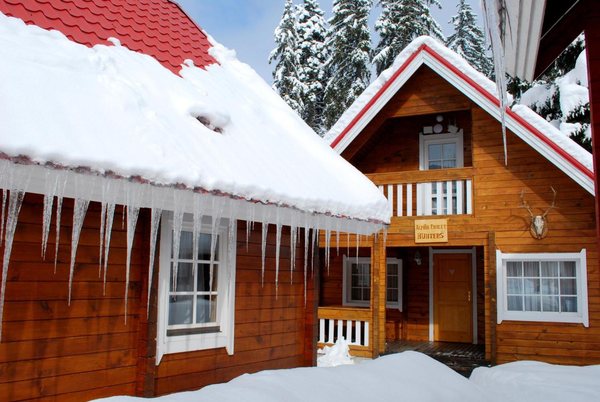 Alpine Ski Chalet Borovets With Sauna Villa Bilik gambar